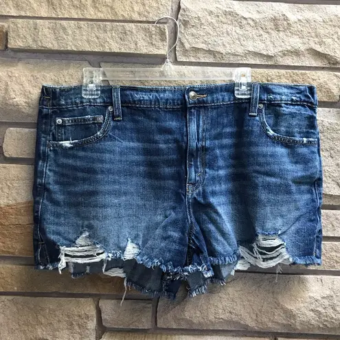 Aerie Daydream Denim Jean Shorts Distressed  Rocky Blue XL