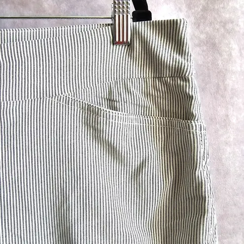 Hilary Radley Blue White Striped Pullon Shorts NWT XXL