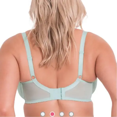 NWT Curvy Kate Victory Polka Dot Balcony Bra in Mint