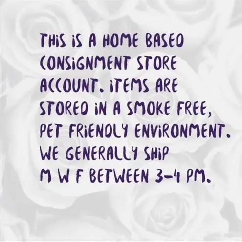 Jealous Tomato Sheer Lace Button Down Top S