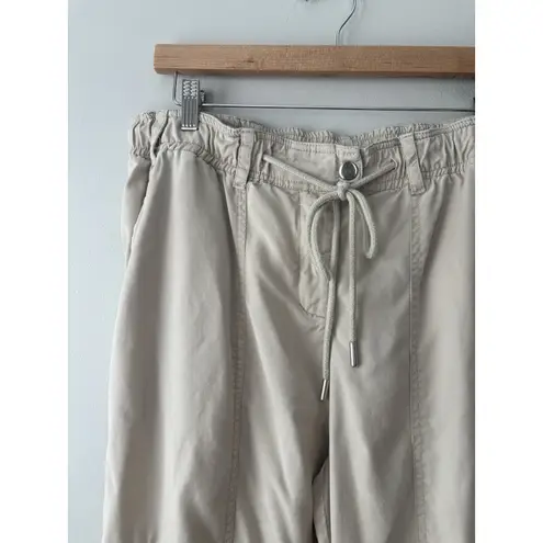Quince Women's Vintage Wash Tencel Drawstring Cargo Pants Size Large In Shale