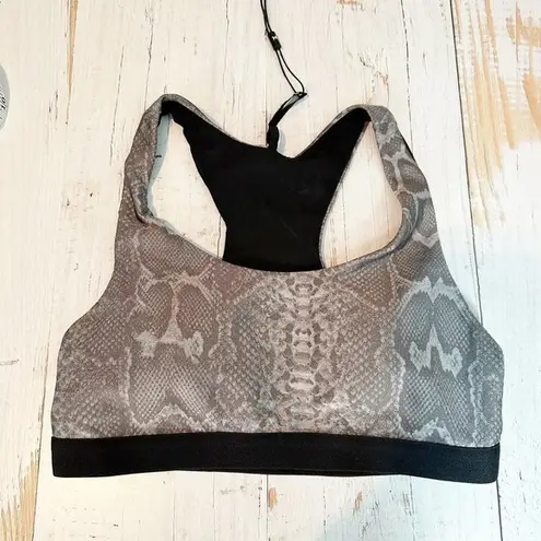 Koral Tax Infinity Sports Bra Snakeprint Size Small Reptile