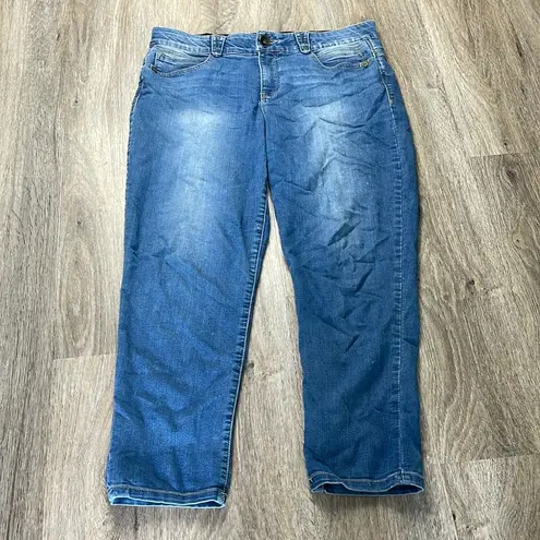 Democracy Artisan Crafted Jeans Size 14