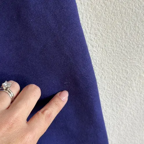 SKIMS Cotton Fleece Classic Jogger in Concord, Size Small