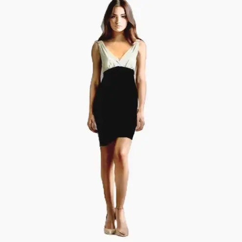 Enfocus Studio En Focus Studio Black & White Sleeveless V-Neck Bodycon Size 12 Dress