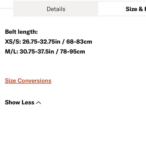 ANINE BING Belt in cream NWT