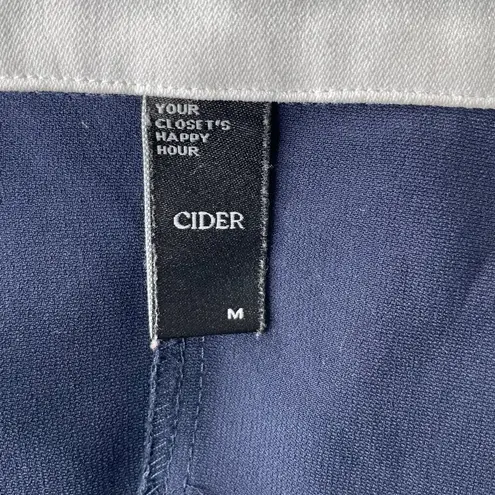 Cider Navy Blue White Lace Trim Collar Button Down Mini Dress Dark Academia