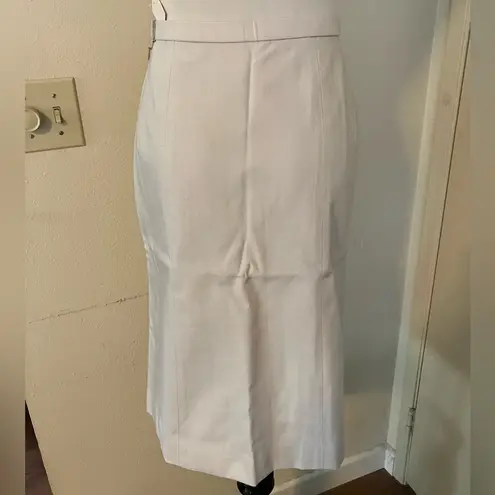 Plein De Vie Pencil Skirt Lined Ladies Gray