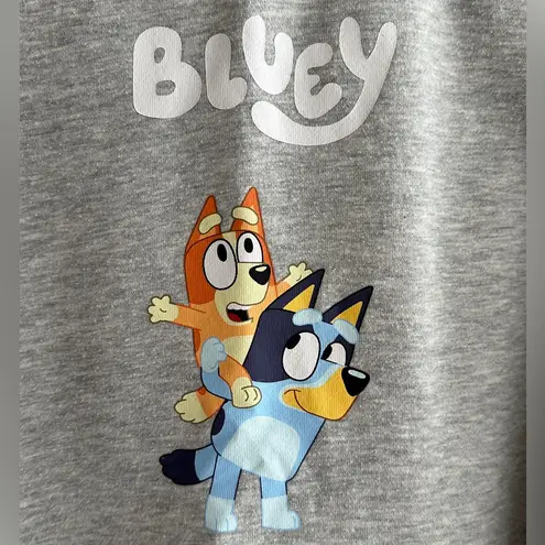 Bluey Women’s Grey Crewneck Sweatshirt, Bluey Character Top, Size Large Gray