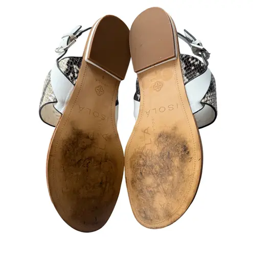 Isola Snakeskin Print Thong Sandals Silver Accent Buckle Strap Size 9M