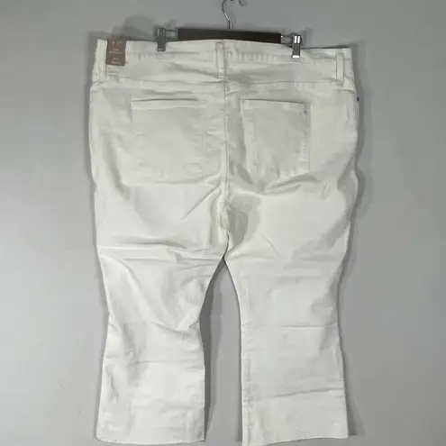 Madewell  Cali Demi Boot White Raw Hem Jeans Women's Plus Size 37P Petite