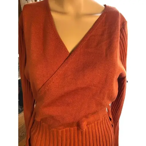 NWT Zesica Rust Pleated Long Sleeve V