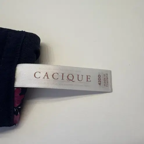 Cacique Lightly Lined Full Coverage Bra Underwire Size 42DD Black Cherry Blossom