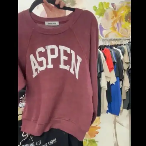 Daydreamer Aspen Raglan Sweatshirt Size Small New without Tag MSRP $128 SOO