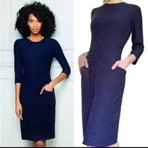 J. McLaughlin Catalyst Dress in Navy Blue Leopard Print Catalina Cloth Small