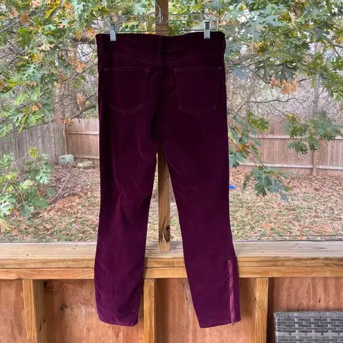 Pilcro and the Letterpress Anthropologie Pilcro Stet Cords Burgundy Tapered Leg Ankle Zip Size 29"