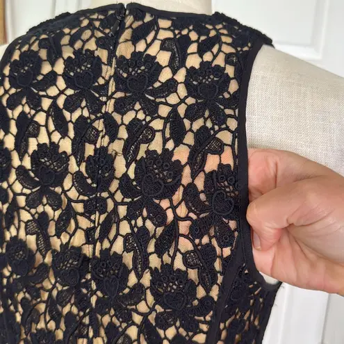 Tadashi Shoji TADASHI collection lace detail midi dress semi formal