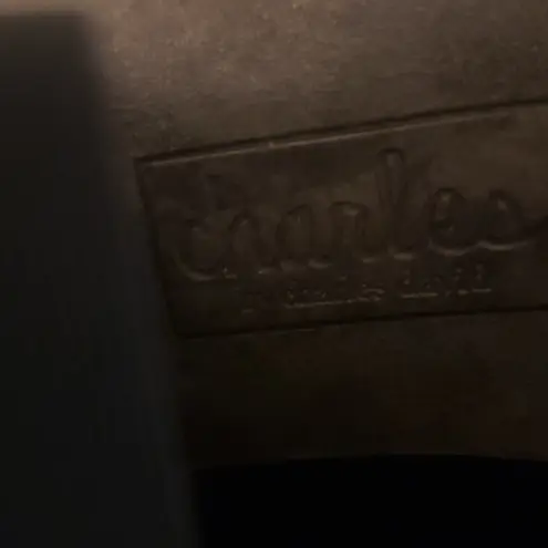 Charles by Charles David Black Studded Ankle Boots. New never worn. Name "Decker