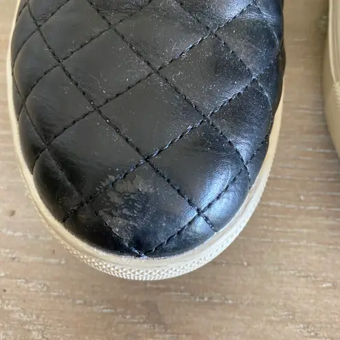 Steve Madden Ecentrcq black quilted slip on sneakers