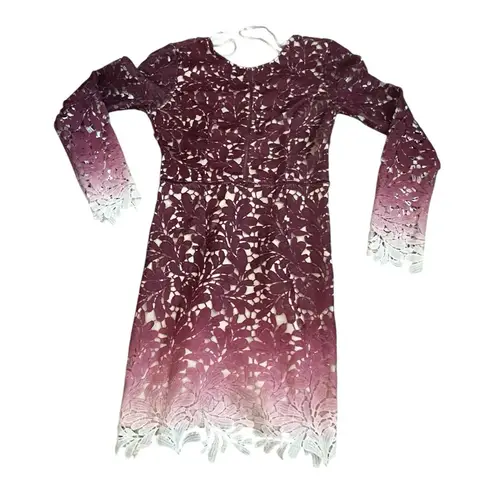 Angel Biba Angel Biba Burgundy Ombre Lace Cut-Out Overlay Dress Size 8