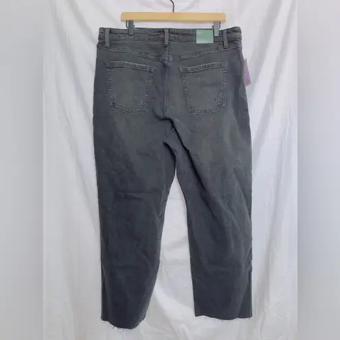 Wild Fable  NWT Black Wash Denim Highest Rise Button Fly Straight Leg Jean 18/34