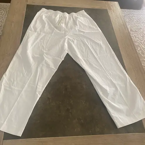 Alfred Dunner Petite Alfred Dunner Women's Misses Pant 16