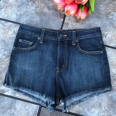 LF NWT  Carmar High Waist Fringe Hem Jean Shorts Sz 25