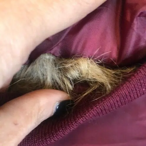 Ultim8 Brand burgundy faux fur collar rose appliqué bomber Jacket Juniors Sz S Red