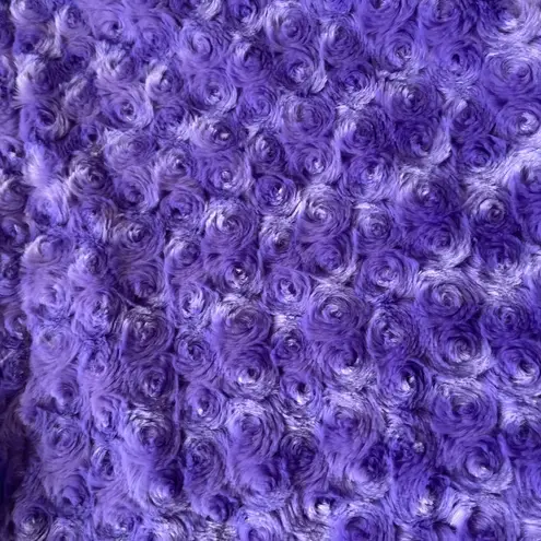 Aspyn Grove Minky Crossbody Tote Bag Y2K Indie Hobo Plush Soft Shoulder Purple