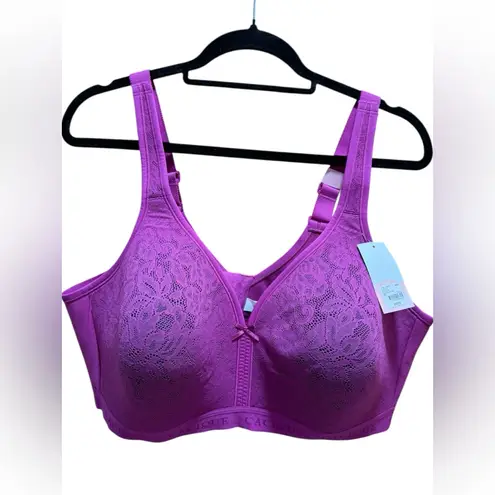 Cacique Cotton Collection Lightly Lined No-Wire Bra 46D – NWT Purple Lane Bryant