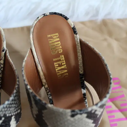 Paris Texas Python Snake