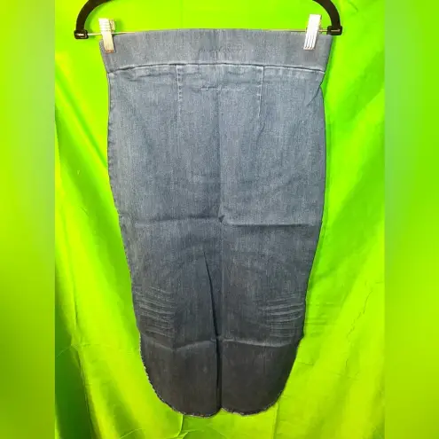 Frank & Eileen  Skirt size 4