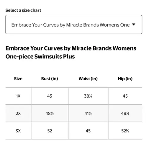 NEW Embrace Your Curves By Miraclesuit Tummy Control Slimming Swimsuit Size 3X Black