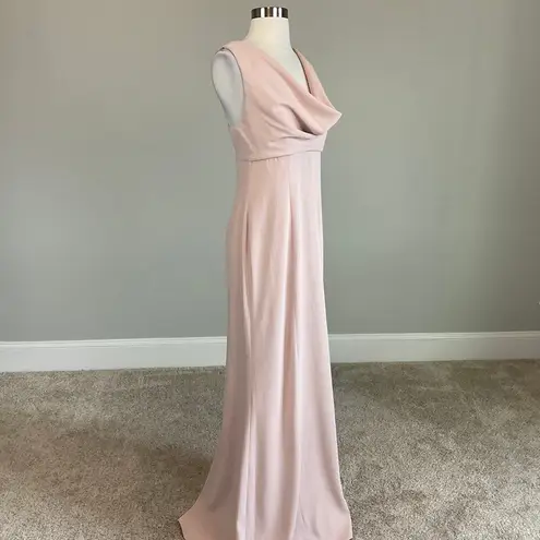 Adrianna Papell  Women's Formal Dress Size 10 Pink Crepe Strappy Back Long Gown