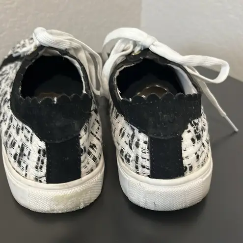 Jack Rogers  Teagan Sneakers Black and White Tweed, Size 8.5