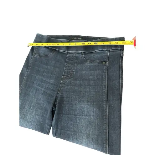 Liverpool Hi Rise Skinny Pull