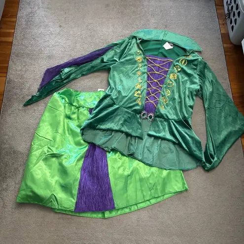 Disney  Hocus Pocus Wini Sanderson Classic Halloween Dress Up Costume Women’s