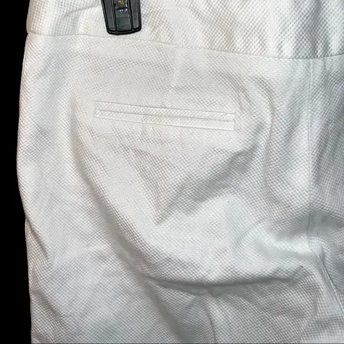 Susan Bristol Women's 4 White Cotton Flat Front Bermuda Shorts Stretch