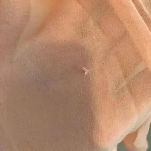 Charlotte Russe ⭐️ Sheer  button up coral blouse in size small