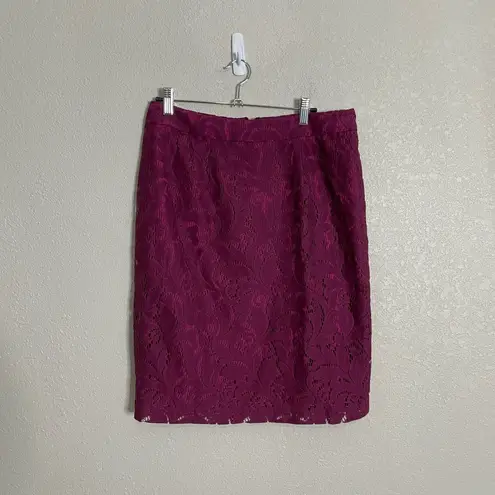 CAbi  Purple Lace Knee Length Career Pencil Skirt 6