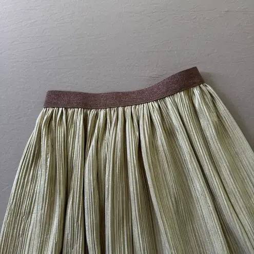 Crinkle Crepe Shiny Pleated Skirt Green Size XXS