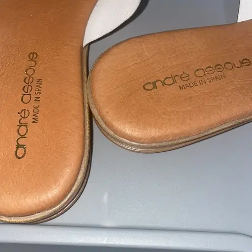 ANDRE ASSOUS Sandals Women 9 Tan Italian Leather Flip Flop Snakeskin Comfortable