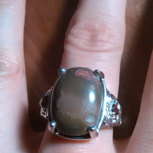 Venus Jasper and Mozambique Garnet Platinum Bond Ring (Size 9)