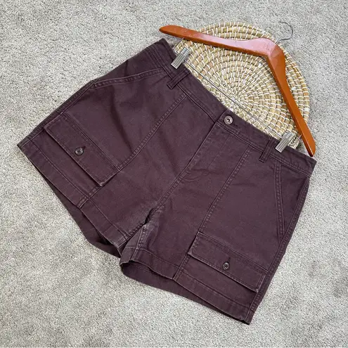 REI Women’s Trailsmith Shorts 4” High Rise Outdoor Hiking Camping in Brown 14