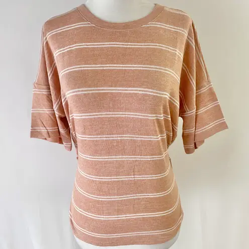 Lumière New Tie Back Ruffle Hem Short Sleeve Top Striped Knit Amber
