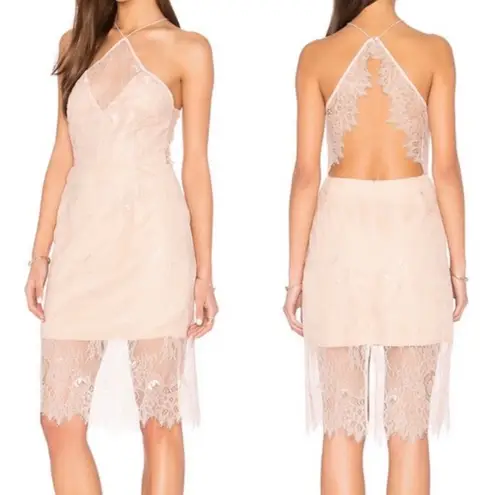 Keepsake  The Label Great Love Lace Dress: Rose (Blush Pink)