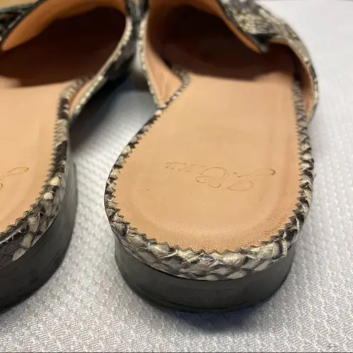 J.Crew  Snakeskin Loafers