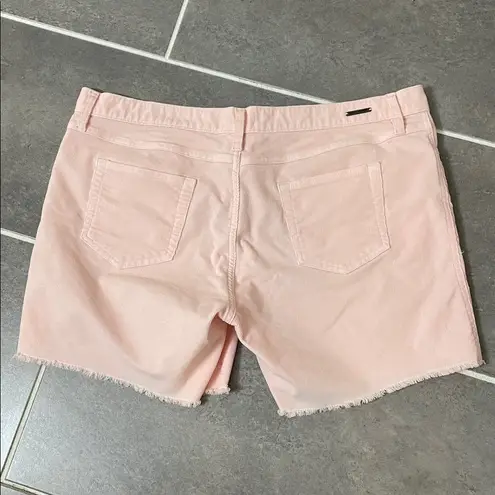 Carve Designs Oahu 6” Corduroy Shorts size 14