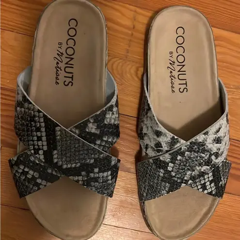 Coconuts by Matisse Sandals