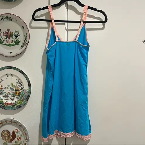 NEW Honeydew Blue and Pink Chemise